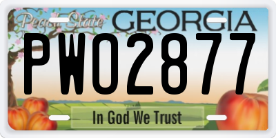 GA license plate PWO2877