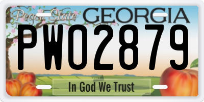 GA license plate PWO2879