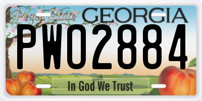 GA license plate PWO2884