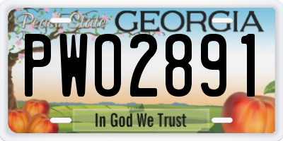GA license plate PWO2891