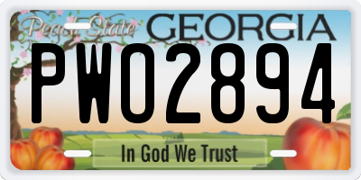 GA license plate PWO2894