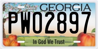 GA license plate PWO2897