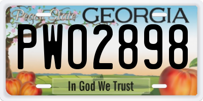 GA license plate PWO2898