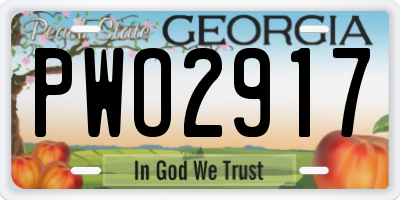 GA license plate PWO2917
