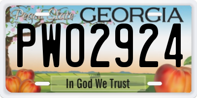 GA license plate PWO2924