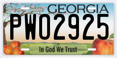 GA license plate PWO2925