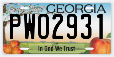 GA license plate PWO2931