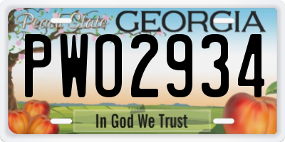 GA license plate PWO2934