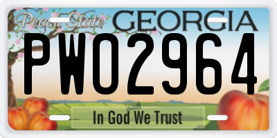 GA license plate PWO2964