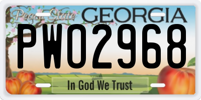 GA license plate PWO2968