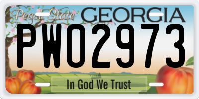 GA license plate PWO2973