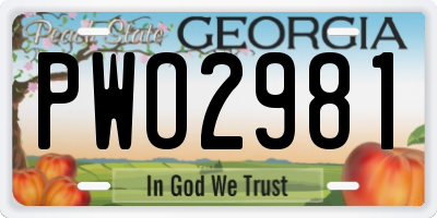 GA license plate PWO2981