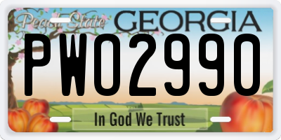 GA license plate PWO2990