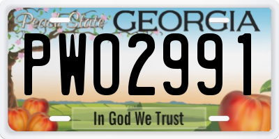 GA license plate PWO2991