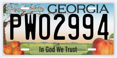 GA license plate PWO2994