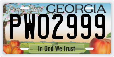 GA license plate PWO2999