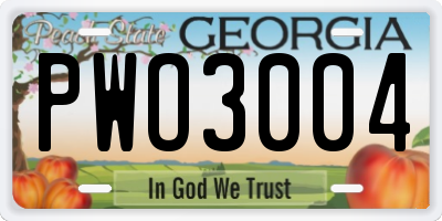 GA license plate PWO3004