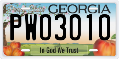 GA license plate PWO3010