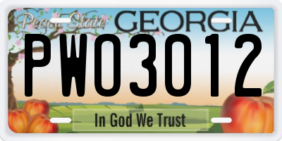 GA license plate PWO3012