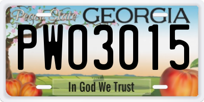 GA license plate PWO3015