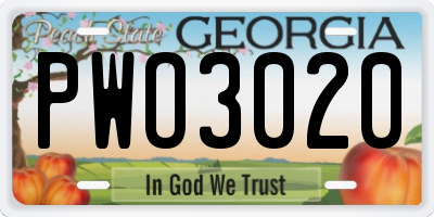GA license plate PWO3020