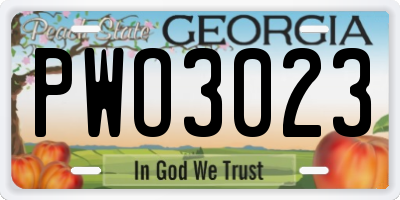 GA license plate PWO3023