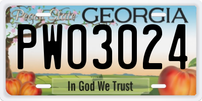 GA license plate PWO3024