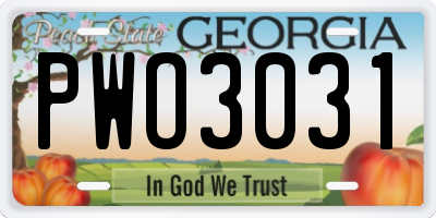 GA license plate PWO3031