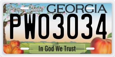 GA license plate PWO3034