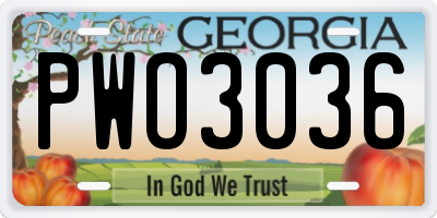 GA license plate PWO3036