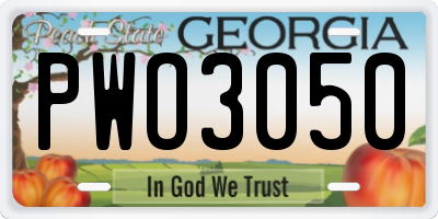 GA license plate PWO3050