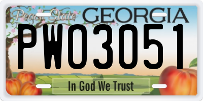 GA license plate PWO3051