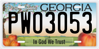GA license plate PWO3053