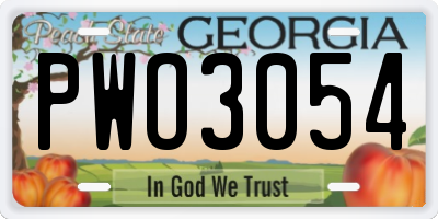 GA license plate PWO3054