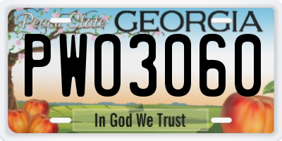 GA license plate PWO3060