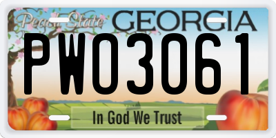 GA license plate PWO3061