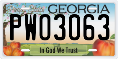 GA license plate PWO3063
