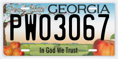 GA license plate PWO3067