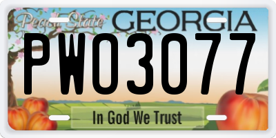 GA license plate PWO3077