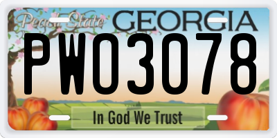 GA license plate PWO3078