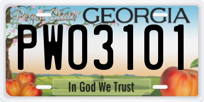 GA license plate PWO3101