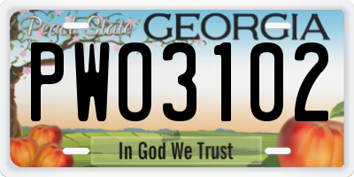 GA license plate PWO3102