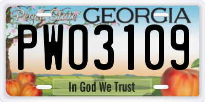 GA license plate PWO3109