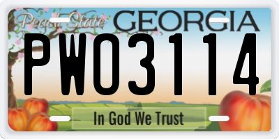 GA license plate PWO3114