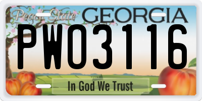 GA license plate PWO3116
