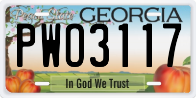 GA license plate PWO3117