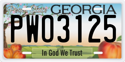 GA license plate PWO3125