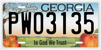 GA license plate PWO3135