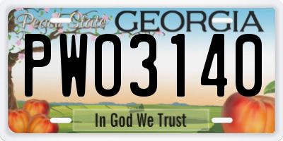 GA license plate PWO3140