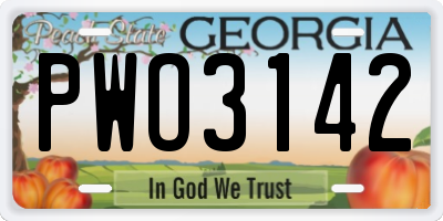 GA license plate PWO3142